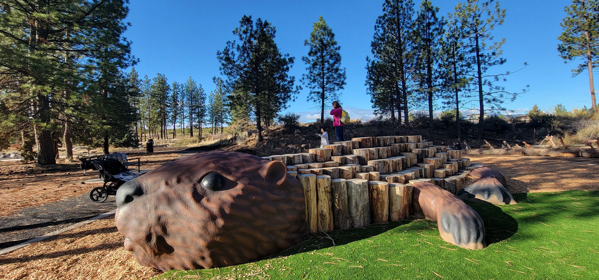 Photo of beaver play structure at Manzanita Rdige Park