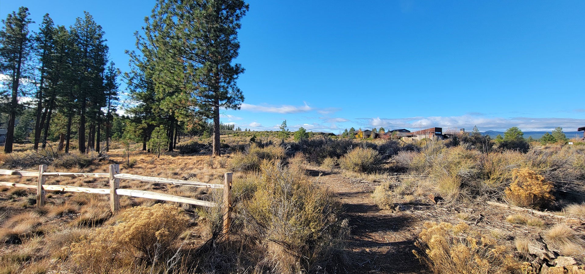Photo of the trail at Manzanita Rdige Park
