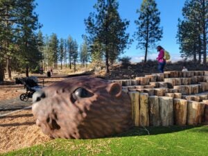 Photo of patrons climbing on the beaver play installment at Manzanita Ridge Park.