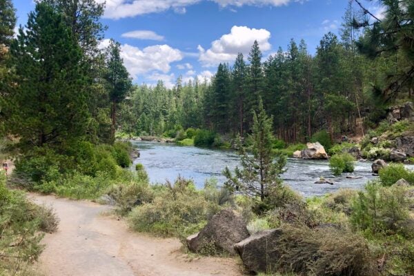Deschutes River Trail South Study