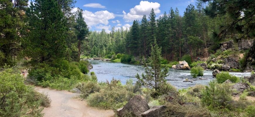 a view of the deschutes river trail along the river