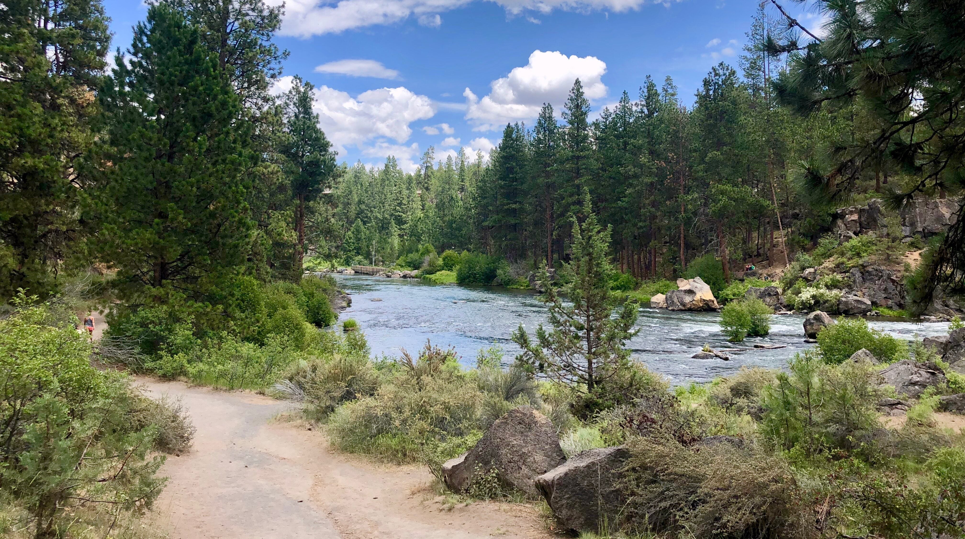 a view of the deschutes river trail along the river