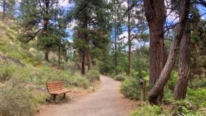 a park bend along the deschutes river trail under mature trees
