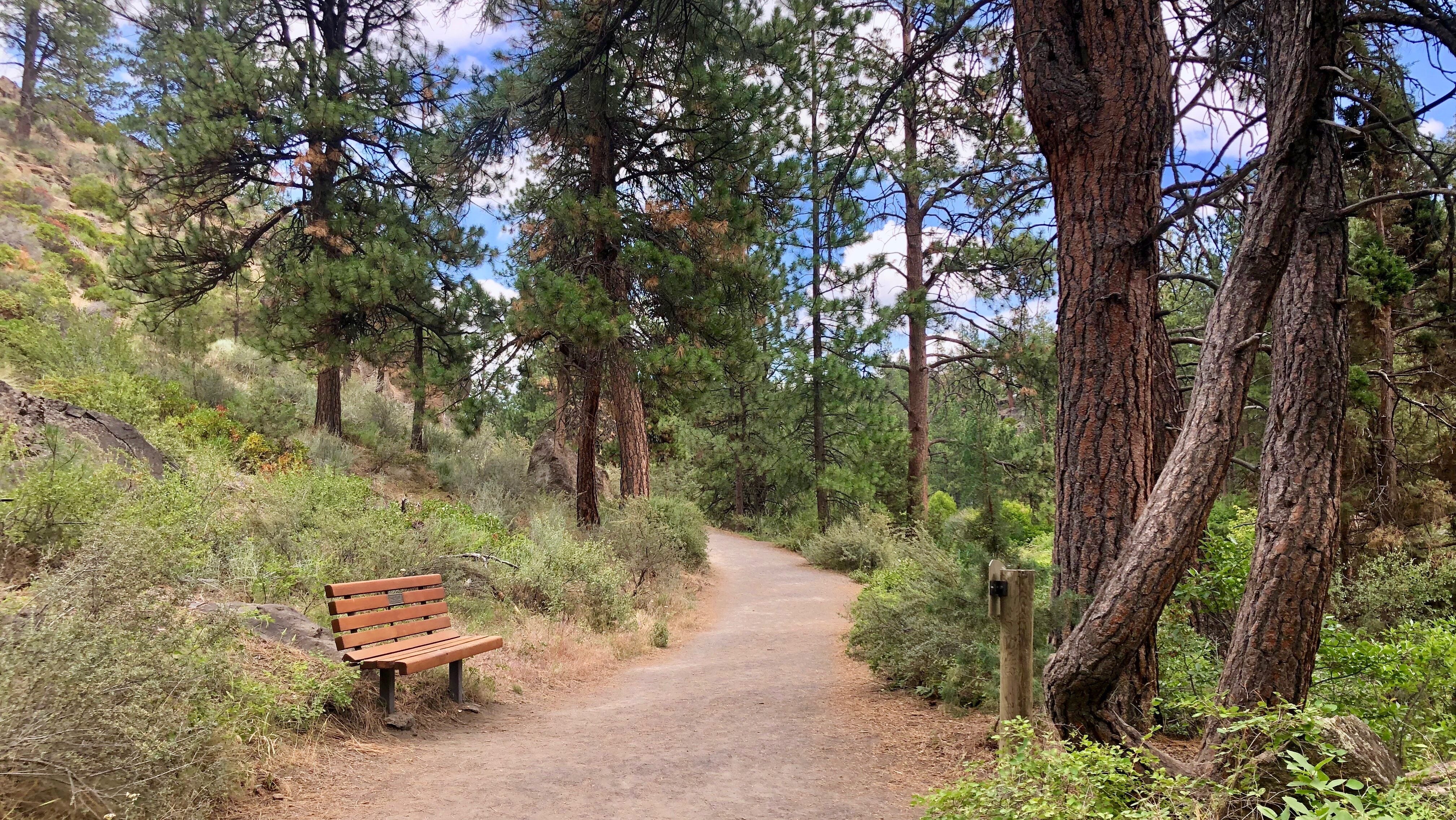 a park bend along the deschutes river trail under mature trees