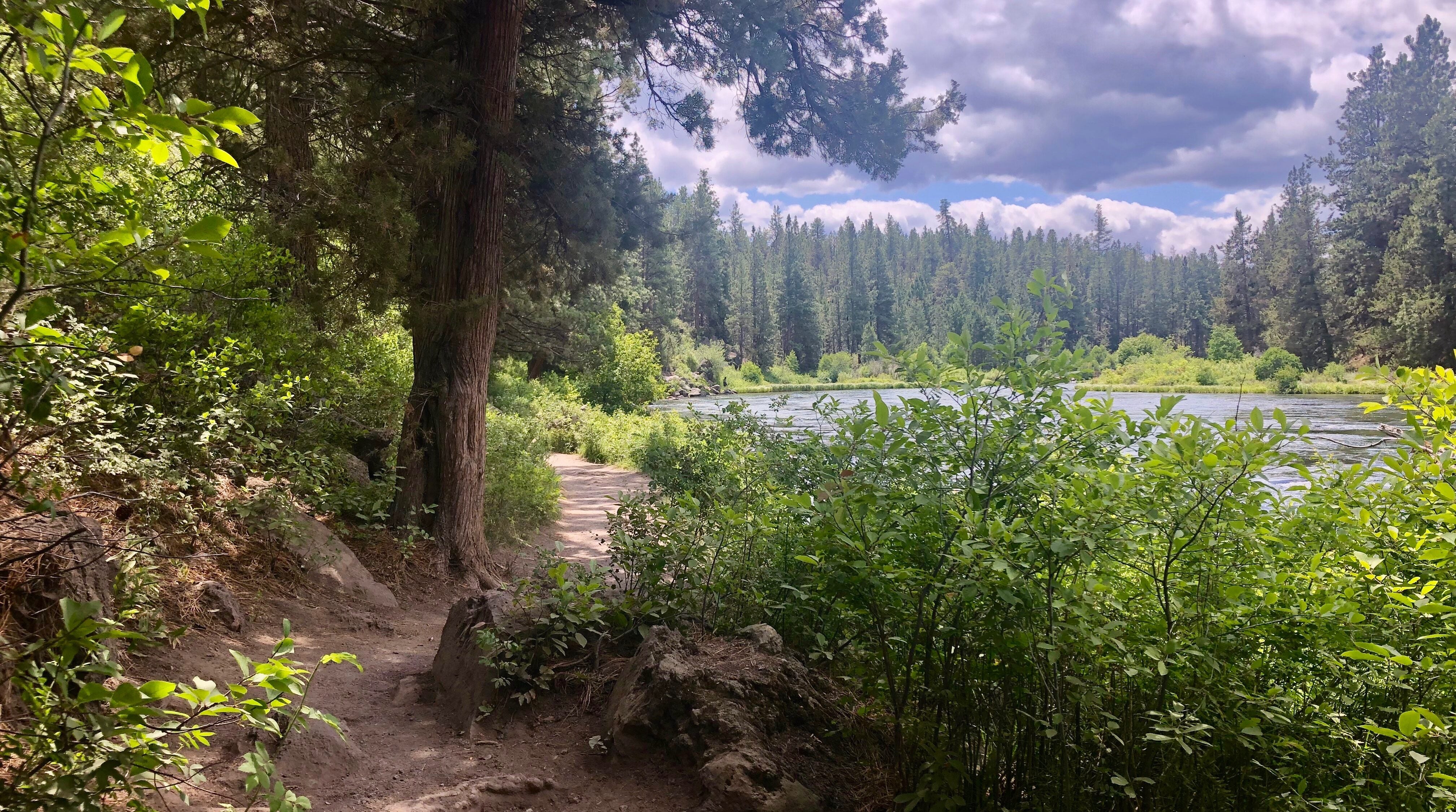 a view of the deschutes river trail winding along the river