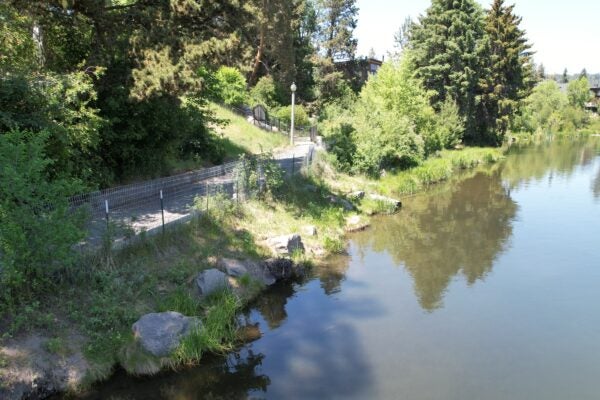 Columbia Park river bank