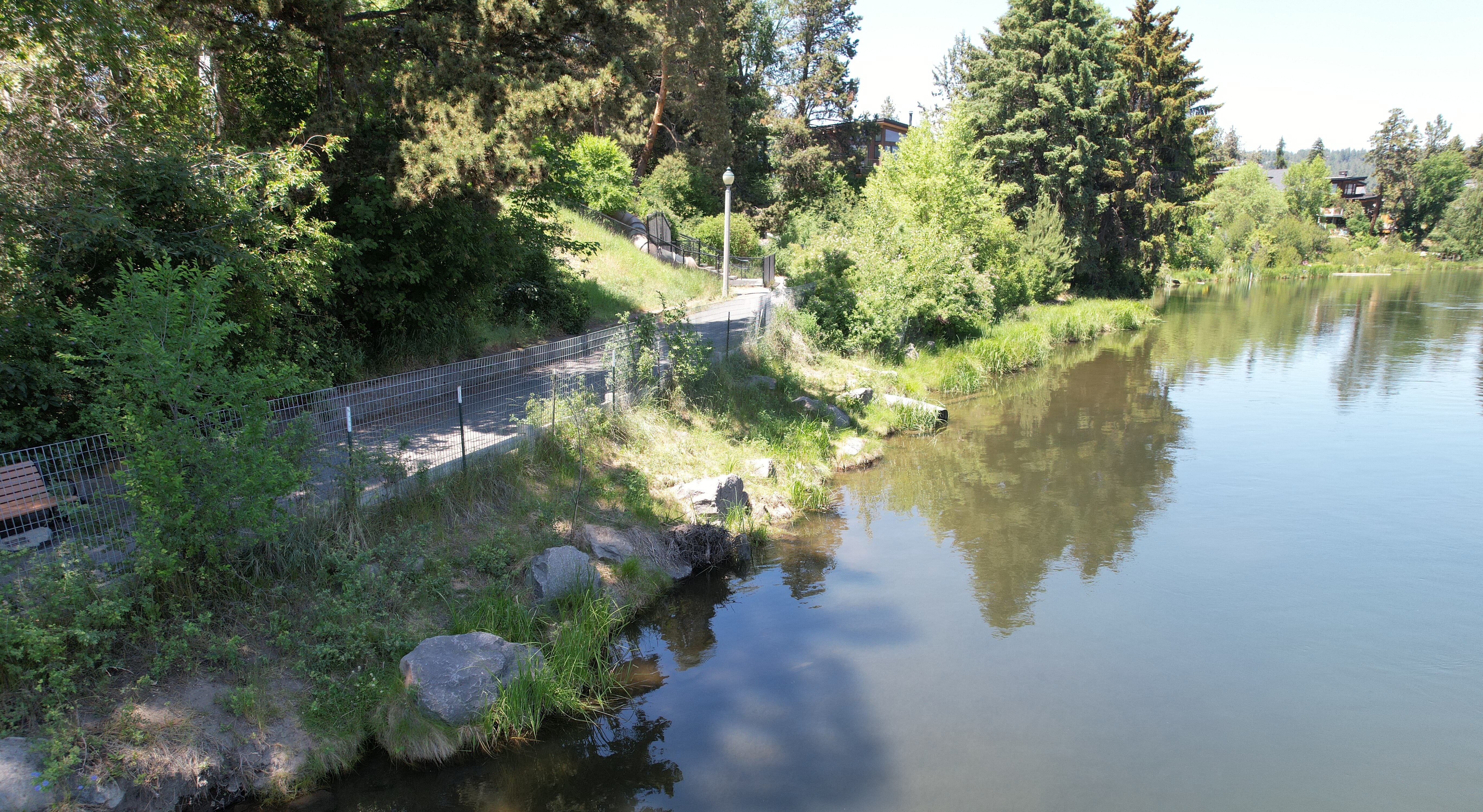 Columbia Park river bank