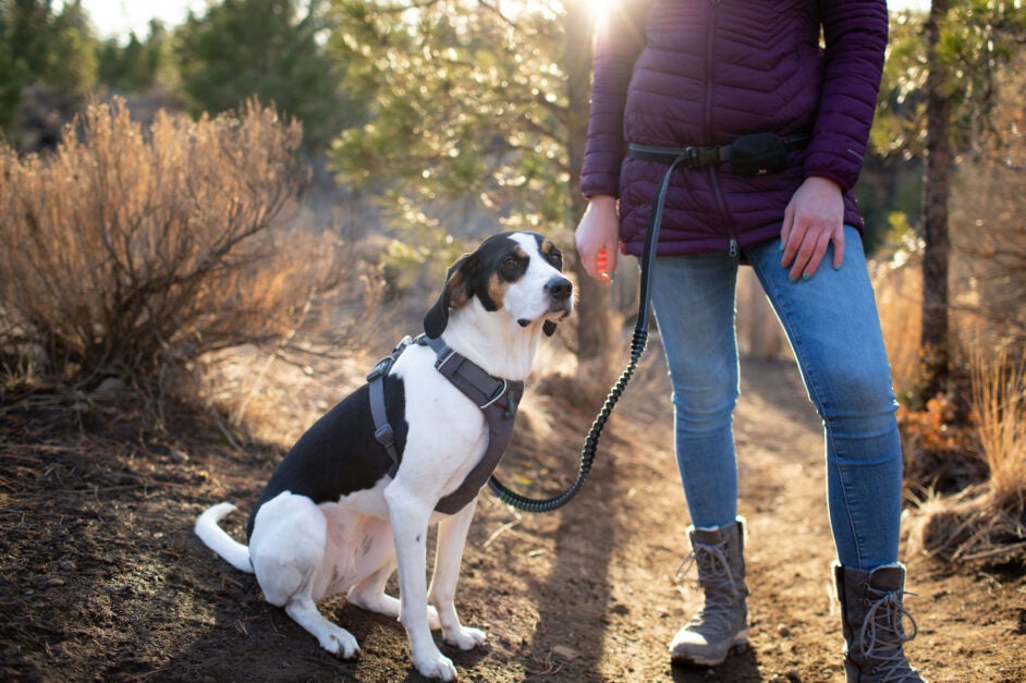 Bend Parks & Rec Banner image