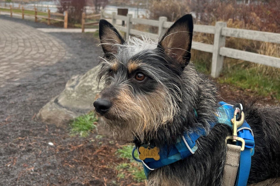 Bend Parks & Rec Banner image