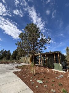 exterior of the building, walkway and tree at the Art Station building