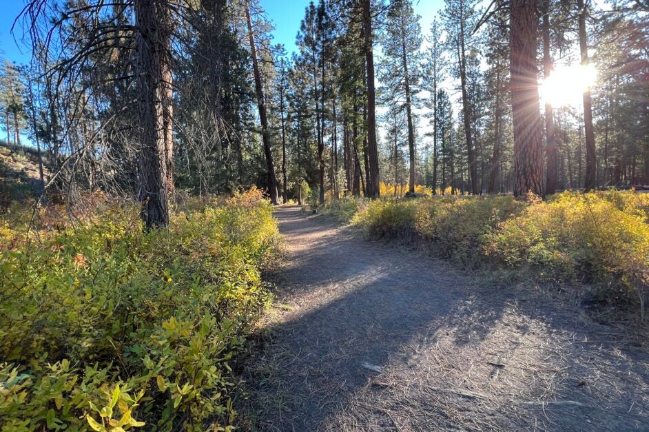 Bend Parks & Rec Banner image