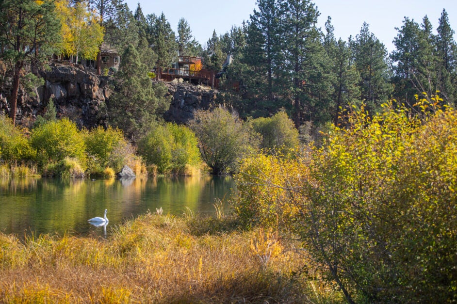 Bend Parks & Rec Banner image